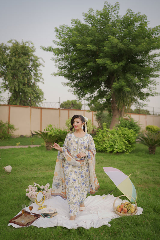 NARGIS